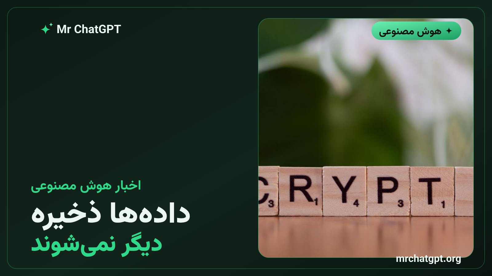 گزینه عدم ذخیرهسازی داده اوپنایآی برای مدلهای پیشرفته