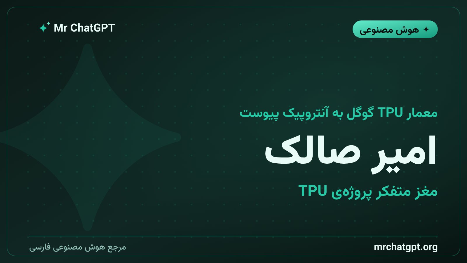 امیر صالک بنیان‌گذار پروژه‌ی تی‌پی‌یو گوگل که اکنون هدایت تراشه‌ی اختصاصی آنتروپیک را برعهده گرفته است